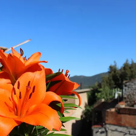 公寓 Casa Rosi Villagrande Strisaili